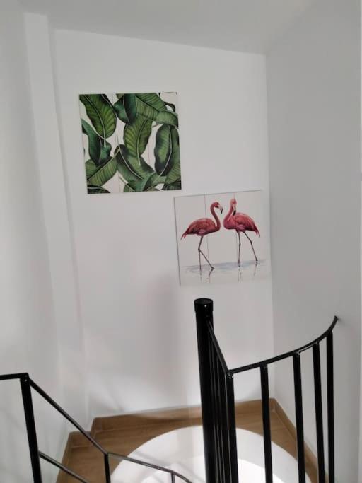 Casita Pinypon Villa Jerez de la Frontera Buitenkant foto